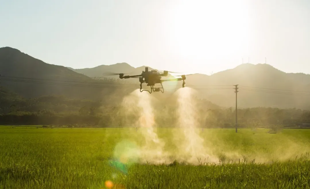 无人机进行喷洒作业